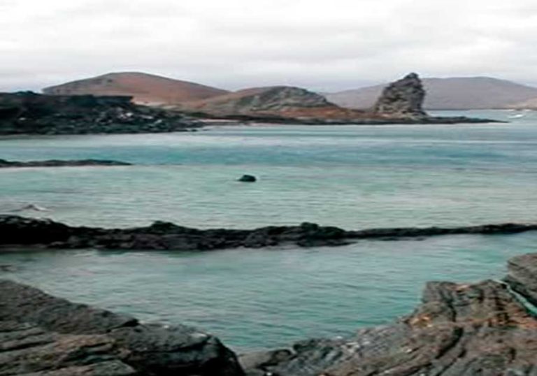 Evolve BESPOKE EXPERIENCE