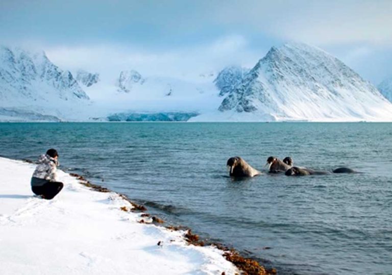 Evolve BESPOKE EXPERIENCE